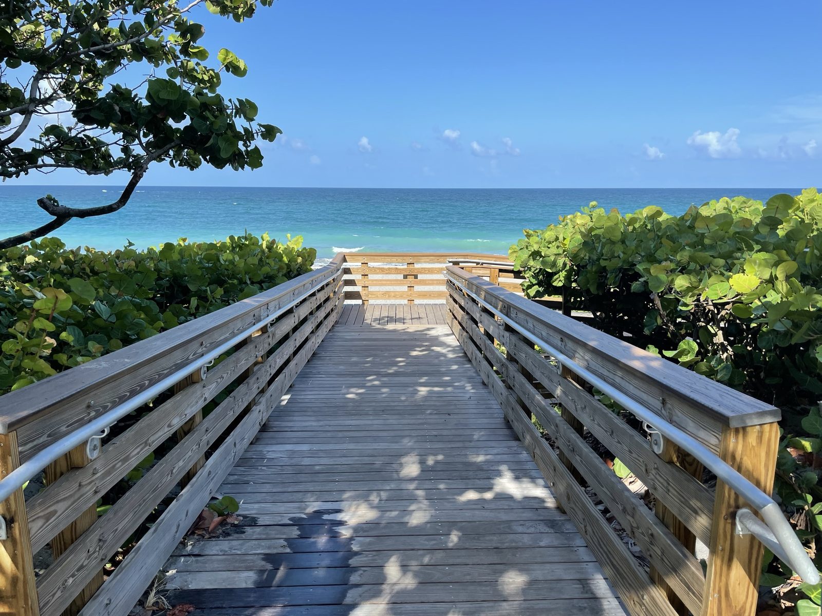 A Local's Guide to Juno Beach, Florida