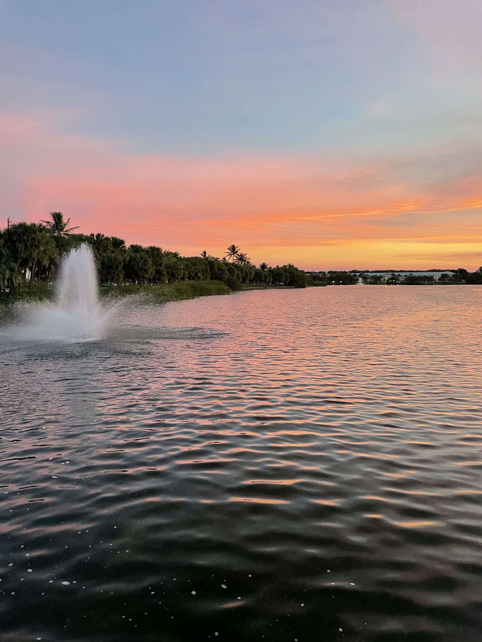 Pros and Cons of Living in Juno Beach, Florida
