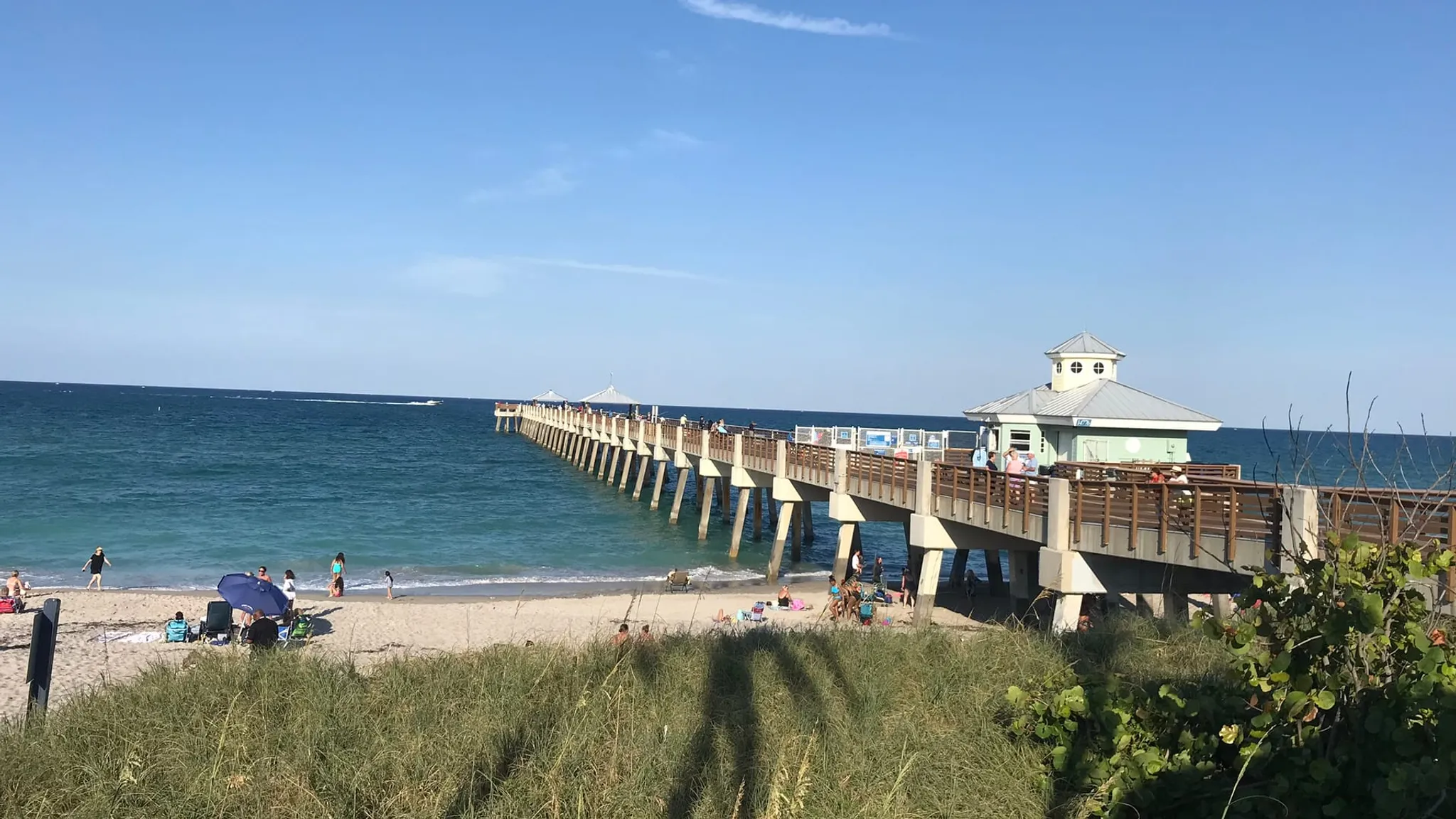 Pros and Cons of Living in Juno Beach, Florida