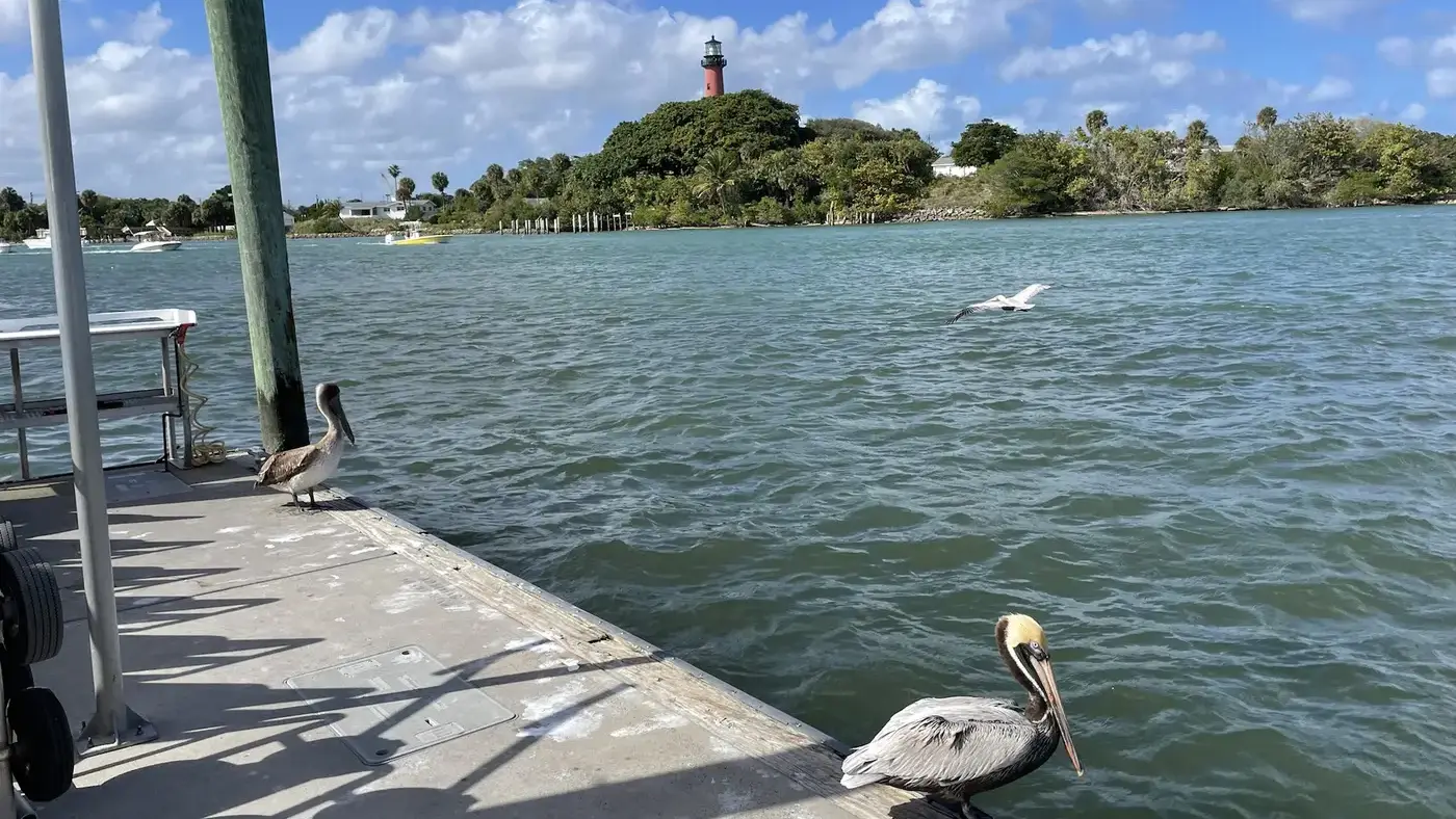 Pros and Cons of Living in Jupiter, Florida