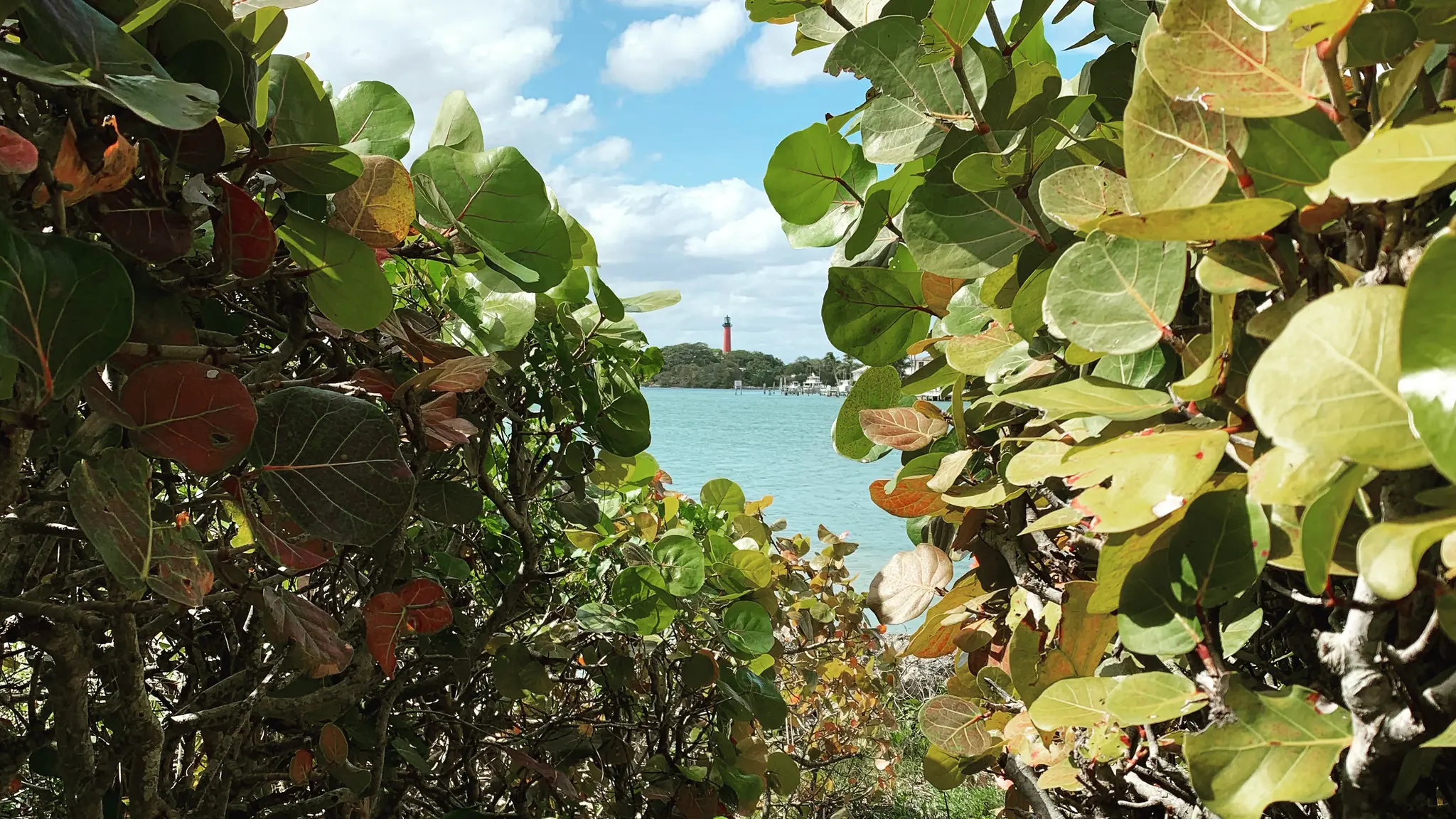 Hidden Gems in Jupiter, Florida