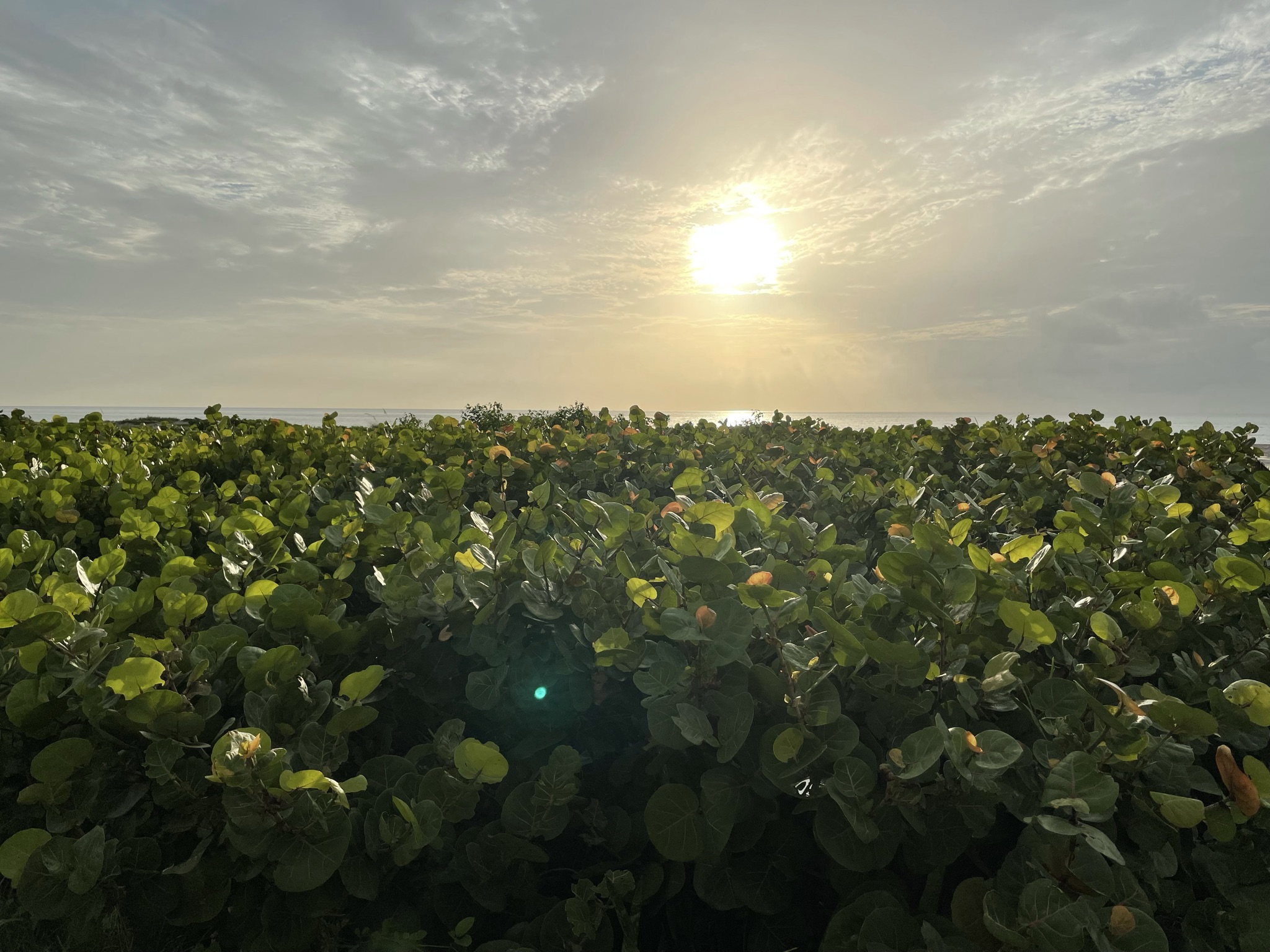 Best Places to Eat, Drink & Hang Out on Singer Island, Florida