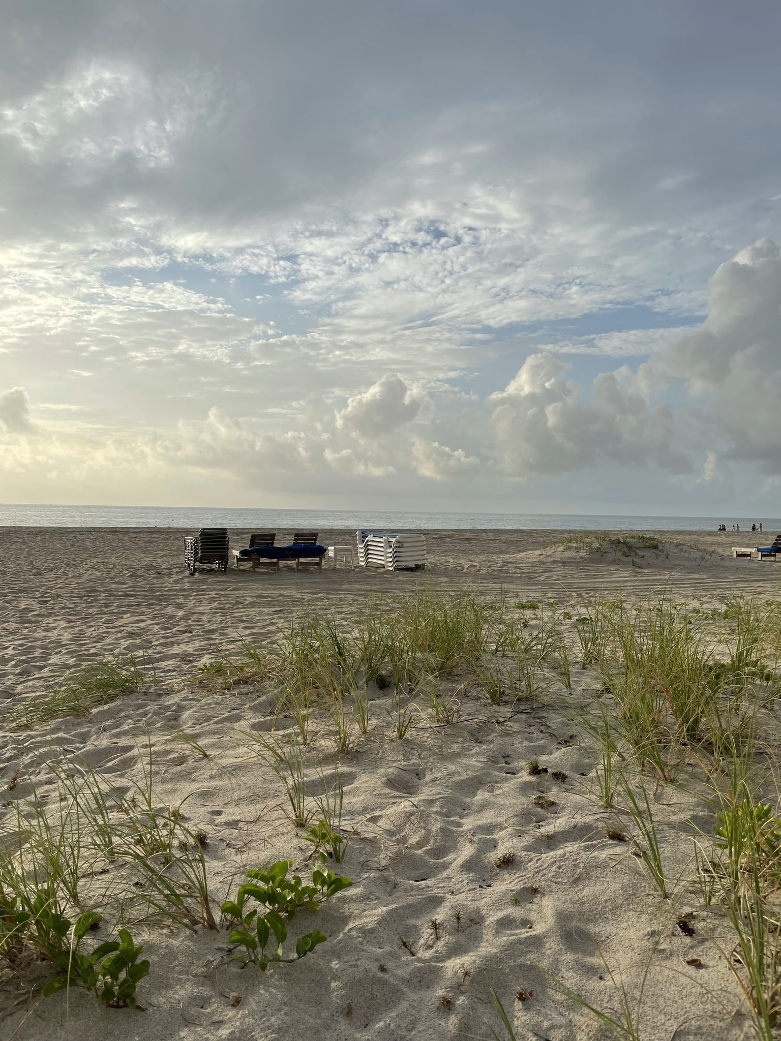 Best Neighborhoods & Areas on Singer Island, Florida