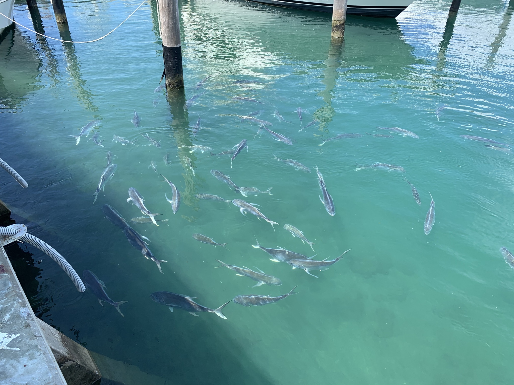 What It's Really Like Living on Singer Island, Florida
