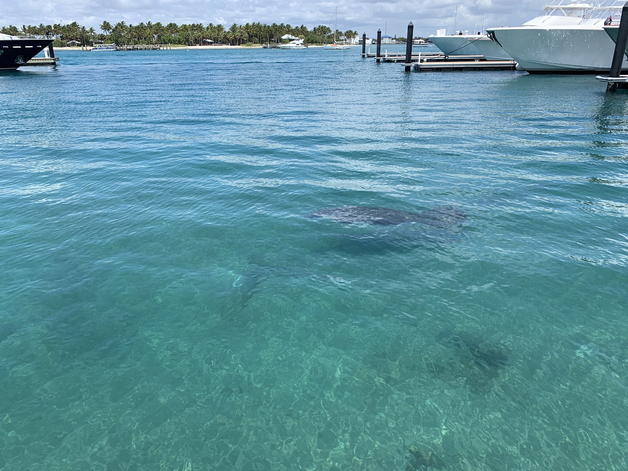 Pros and Cons of Living on Singer Island, Florida