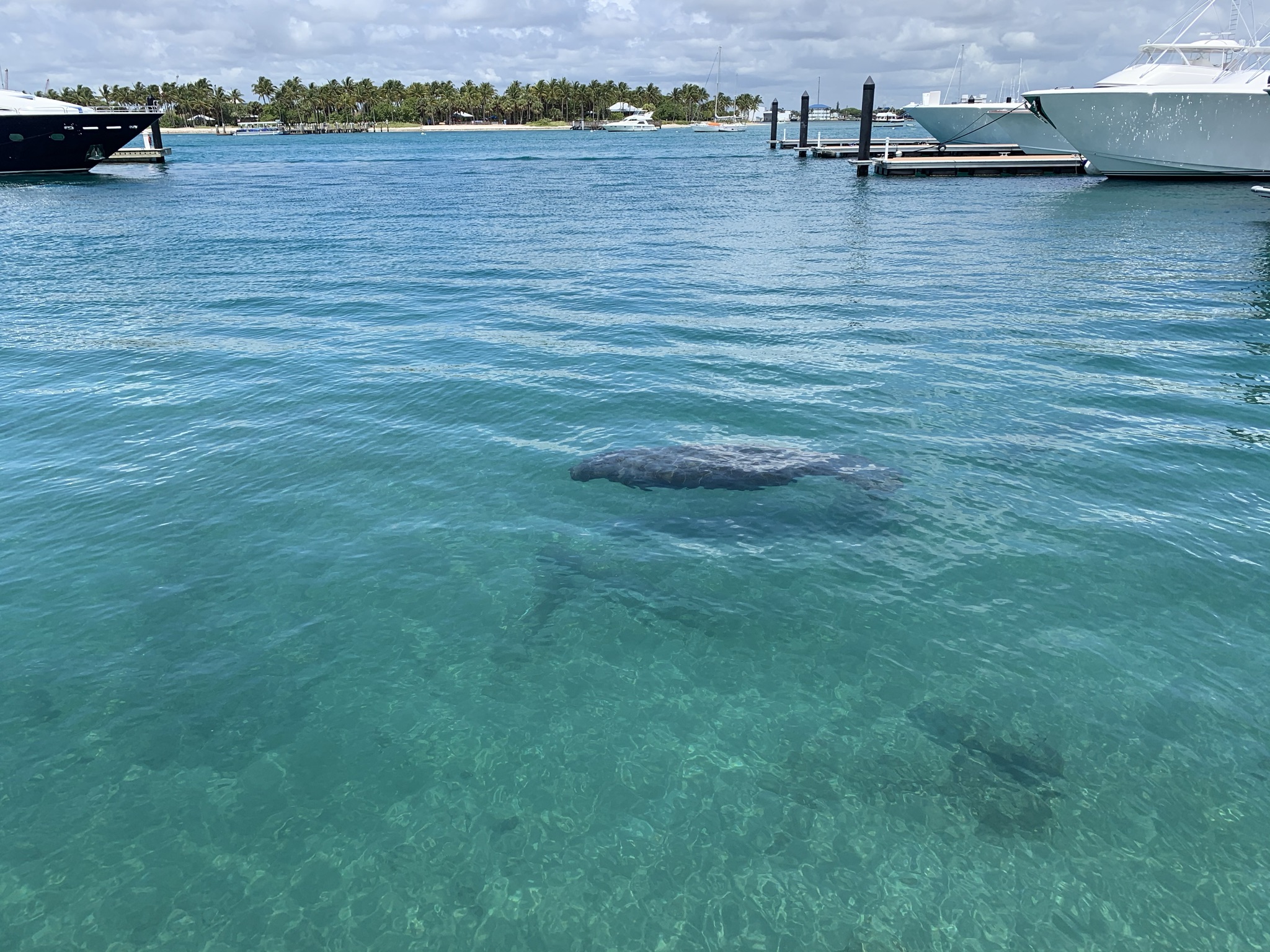 Hidden Gems on Singer Island, Florida