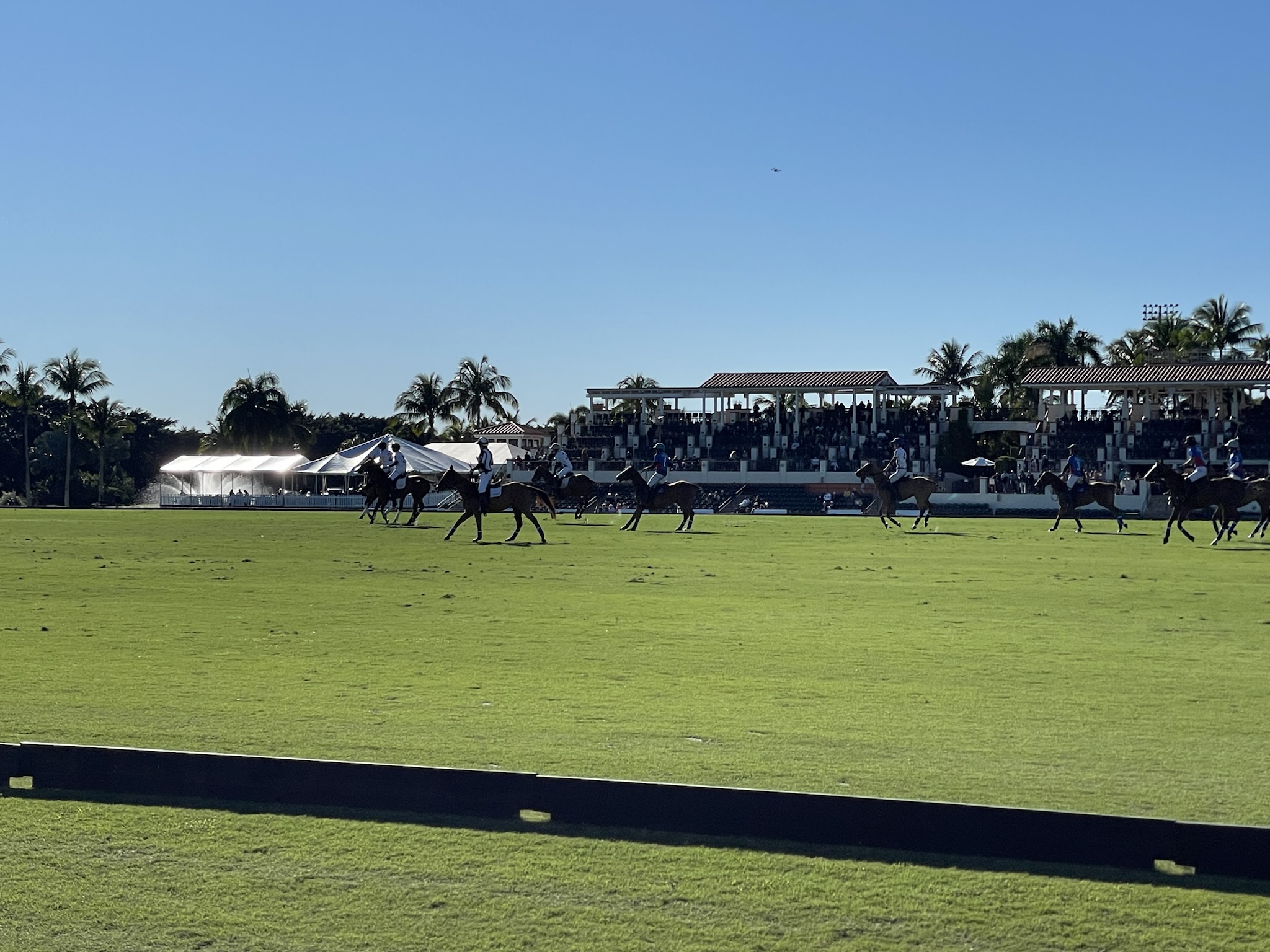 Who Should Move to Wellington, Florida (And Who Shouldn't)